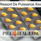 Power Spring Xxx cialis2